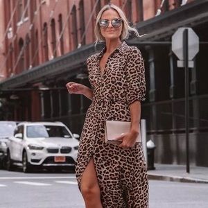 Zara Leopard Print Maxi Dress